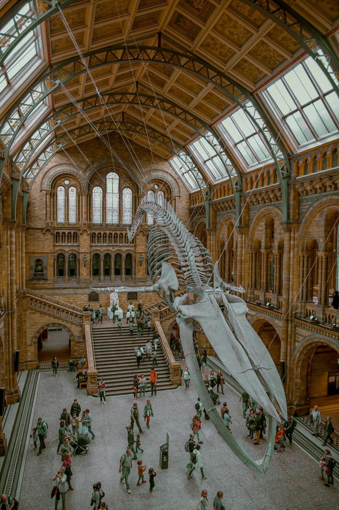 54 Queen'S Gate Hotel London Bagian luar foto